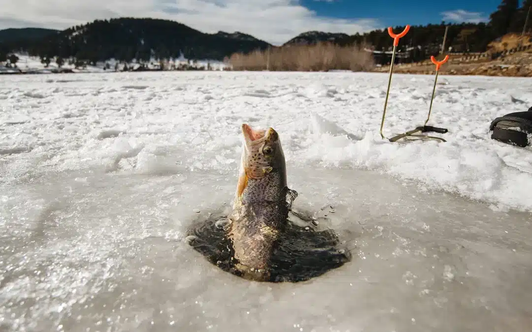 Your Ultimate Guide to Ice Fishing in the Northeast