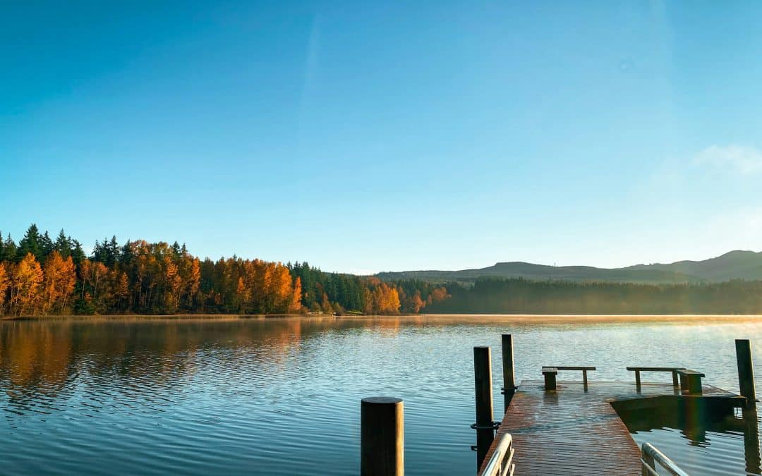 Why Ponds Matter: Nature’s Small but Mighty Waterbodies
